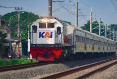 Jadwal Kereta Api Sri Tanjung Banyuwangi Jogja Terbaru Tahun 2023 Lengkap Dengan Harga Tiketnya 