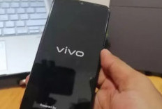 HP Vivo v20 Mentok Stuck di Logo Kenapa? Tak Perlu Khawatir! Ikuti Cara Berikut Untuk Mengatasinya