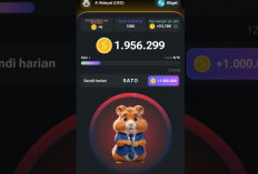Sandi Harian Hamster Kombat Hari Ini 16 Juni 2024, Dapatkan Jutaan Koin Dalam Sekali Klik!