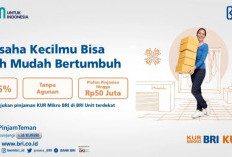 Cara Ajukan Dana KUR BRI 2023 Jika Tidak Punya Usaha, Bisa Pakai Kredit Tanpa Agunan!