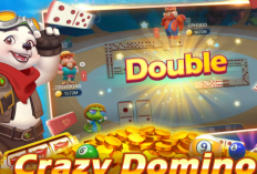 Unduh Higgs Bearfish Casino X8 Speeder Apk Versi 2.40, Permaian yang Mirip  Higgs Domino Namun Fitur Lebih Lengkap!