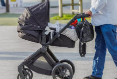 Rekomendasi 4 Tempat Sewa Stroller di Sidoarjo Berikut Alamat Lengkap, Tarif, Instagram, Hingga Websitenya 