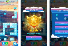 Cara Tarik Uang di Block Puzzle Arctic, Bisa Langsung Transfer Rekening Bank Atau Saldo DANA