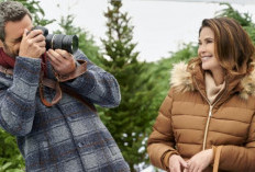 Nonton Film Fall in Love by Christmas (2023) SUB INDO Full Movie HD, Pertemuan Tak Sengaja Pengusaha dan Fotografer Profesional