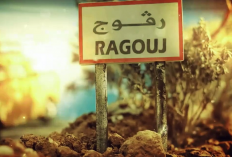 Où Regarder Ragouj Épisode Complet VOSTFR, Soulever Des Questions Économiques, Sociales et Politiques