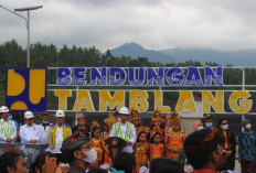 Presiden Jokowi Resmikan Bendungan Danu Kerthi Buleleng, Salah Satu Proyek PSN Bernilai Rp820 Miliar
