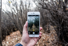 3 Cara Mengembalikan Foto yang Sudah Terhapus Permanen di iPhone, Dijamin Gampang Banget dan 100% Work
