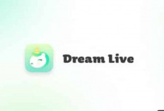 Cara Download Aplikasi Ijo Dream Live Apk Versi Terbaru Unlimited Money Live Streaming Gacor