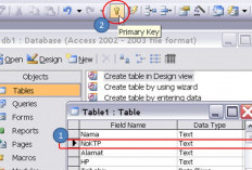 Cara Menambahkan SQL Primary Key Dalam Tabel Lengkap Dengan Penjelasan Fungsinya 