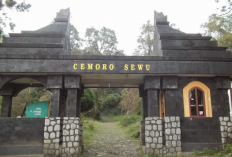 Wisata Cemoro Sewu Magetan, Gerbang Pendakian Puncak Gunung Lawu yang Sangat Mempesona