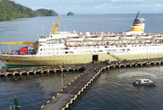 Jadwal Kapal Ferry Dobonsolo Mei 2023 Terlengkap, Tarif Pelayaran All In Rp 1.024.000,-
