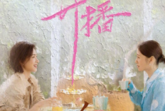 Link Nonton Drama China Lady's Character (2023) Full Episode Sub Indo, Ketika Kerjaan Jadi Protitas Utama