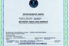 Ini Dia Cara Membaca Letak Nomor Registrasi Akta Lahir, Perhatikan Supaya Tak Salah Baca