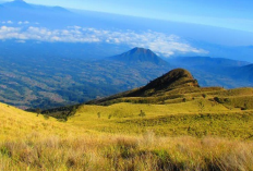 Nama-Nama Bukit di Pulau Jawa, Jadi Destinasi Wisata Populer dengan Pemandangan Eksotis