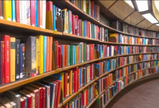 Mengenal Sistem ERD Perpustakaan Lengkap Dengan Pengertian, Fungsi, dan Mcam-Macam Kasusnya