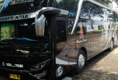 7 Rekomendasi Bus Pariwisata Sidoarjo Terbaik 2023, Dapat Digunakan Untuk Study Tour, Drop Bandara, Hingga Wisata Ziarah