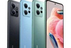 TOP 5 HP Harga 2 Jutaan Paling Laris Bulan Desember 2023, Mulai dar Realme C55 hingga Samsung Galaxy A13