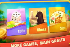 Higgs Domino Global Luar Negeri Lengkap Dengan Link Downloadnya, X8 Speeder versi 2.26 APK
