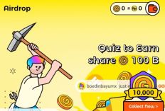 Cara Mendapatkan Uang di Wild Cash APK Terbaru 2024, Langsung Withdraw Rp110.000 Tanpa Syarat