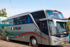 Jadwal Bus Budiman Rute Tasikmalaya - Soreang Tahun 2023 Lengkap Dengan Harga Tiketnya yang Terupdate 