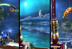 Download Kail Pancing Mod APK 2.5.2 Max level Hingga Unlimited Money, Tampilan 3D Dengan Fitur Terbaru