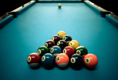 Download Snake 8 Ball Pool MOD APK v55.4.2 Latest Version 2024 [Unlocked Premium], Main Sepuasnya dan Anti Kalah