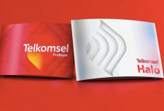 Cara Mudah Registrasi Kartu Telkomsel Terbaru 2024, Melalui Tsel Me Reg! Bisa Langsung Aktif dan Dipakai