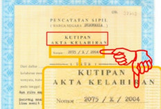 Letak Nomor Registrasi Akta Kelahiran, Sering Digunakan Dalam Pengisian Berkas-Berkas!
