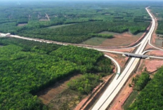Daftar Desa dan Kecamatan Terdampak Proyek Jalan Tol Demak-Tuban, Ditargetkan Selesai Tahun Ini
