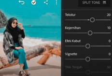 Kumpulan Rumus Lightroom Seperti Selebgram: Untuk Selfie hingga Pemandagan Alam