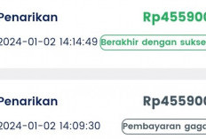 Cara Daftar Chrono-60 Com Penghasil Uang Terbaru Januari Tahun 2024, Hasilkan Cuan Modal Main HP Doang!