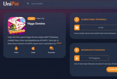 Cara Top Up Higgs Domino Unipin melalui DANA, Proses Kurang dari 1 Menit! Tanpa Ribet dan Banyak Promo