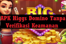 Cara Mudah Masuk Akun Higgs Domino Tanpa Verifikasi, Jangan Sampai Ketahuan! Langsung Ganti Sandi