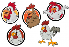 Kumpulan Logo Ayam Jago Keren dan Unik, Bisa Jadi Referensi untuk Usahamu!