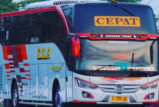 Daftar Bus Travel Karawang - Cirebon Terbaik 2023 : Jadwal Keberangkatan, Tarif Tiket Hingga Kontak Agen LENGKAP