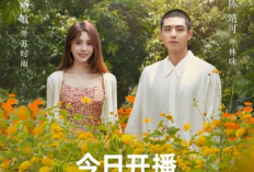 Sinopsis Drama China Dear Mr Hermitage (2023), Kisah Romansa Manis Chen Jing Kedan Tang Min