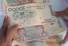 Deretan No WA Kolektor Uang Kuno Aktif Januari 2024 Ini Sanggup Tawar Uang Jadul Hingga Ratusan Juta! Cek Disini yuk