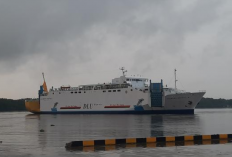 Jadwal Kapal Laut Semarang-Kumai Februari 2023, Available Hingga 2 Maret 2023