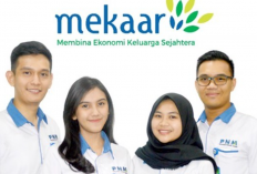 Contoh Laporan BI Checking PNM Mekaar Terbaru 2023, Telah Diawasi Otoritas Jasa Keuangan