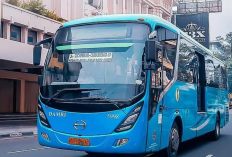 Jadwal Bus DAMRI Bandung ke Bandara Kertajati Per 29 Oktober 2023, Berikut Rute dan Harga Tiketnya