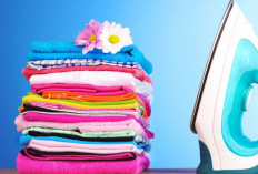 Rekomendasi Franchise Laundry Terbaik dan Paling Laris, Cocok Buat Usaha Rumahan Hasilkan Cuan Besar 
