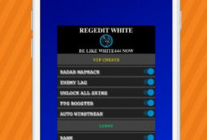 Link Download Regedit White444 Vip Pro Mod Apk Terbaru 2024, Auto Booyah yang Main FF Wajib Instal