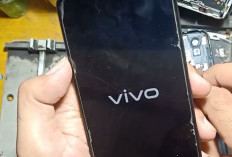 Cara Mengatasi HP Vivo Mati Tidak Bisa Nyala Hanya Muncul Logo Saja, Gampang! Tanpa Ribet Langsung Kelar