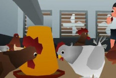 Unlimited Money! Download Aku Si Juragan Ayam Mod APK Versi  1.1.1 Terbaru Tahun 2024, Gratis Unduh Disini