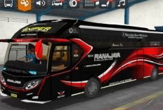 Daftar Livery Bussid Arjuna XHD Terjernih Terbaru 2024 Jetbus 3, Download Google Drive Full Strobo!
