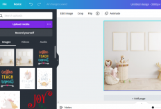 Cara Mencari Font Canva Paling Mudah dan Praktis, Buat Desainmu Makin Berkarakter!