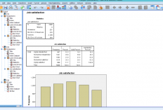 Bagaimana Cara Menghitung Rata-Rata di SPSS? Begini Tutorial Perhitungan dan Analisis Datanya