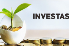 Apakah One Asset APK Aman Terbukti Membayar? Gimana ya Cara Daftarnya? Buat yang Doyan Investasi Simak Disini!