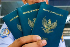 Harga Buat Paspor Ke Malaysia Terbaru 2023, Ternyata Cuma Segini Tarifnya!