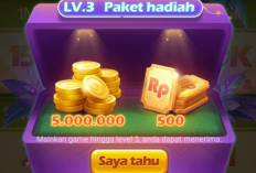 Top Up Chip Higgs Domino Island 1M Terbaru 2024, Proses Cepat dan Lansung Bisa Dipakai